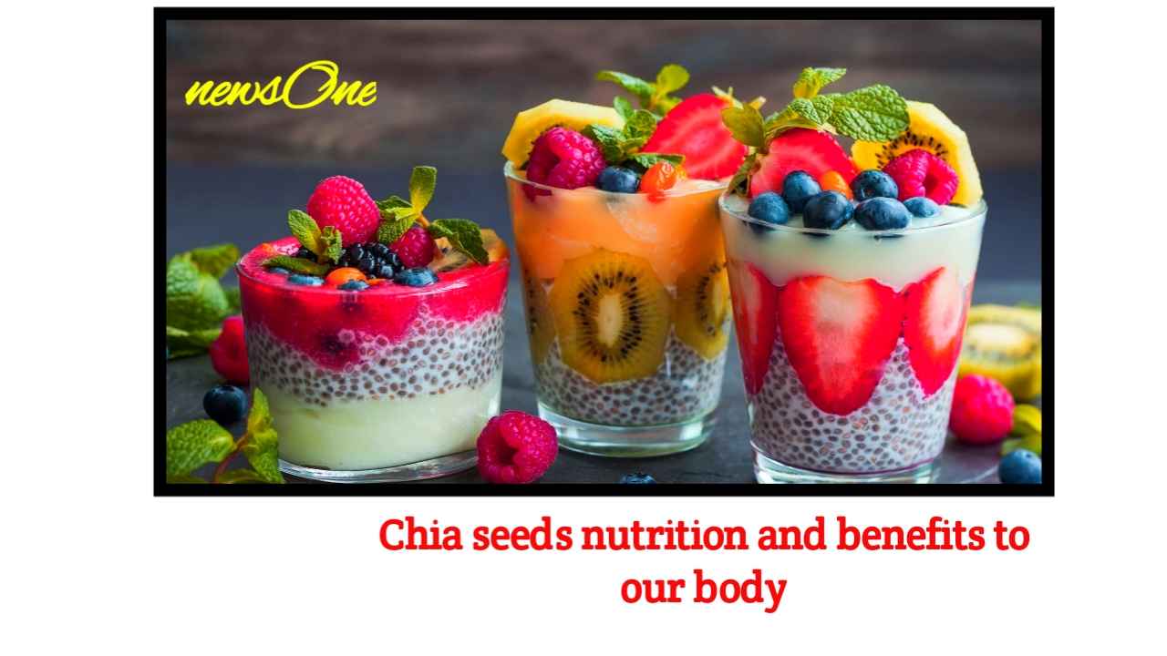 Chia seeds nutrition and benefits to our body